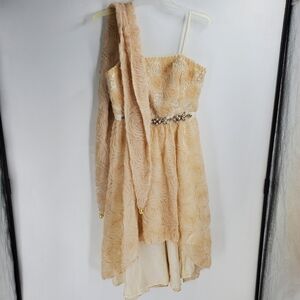 ADRIANNA PAPELL COLLECTION womens 12 champagne sheer overlay cocktail dress